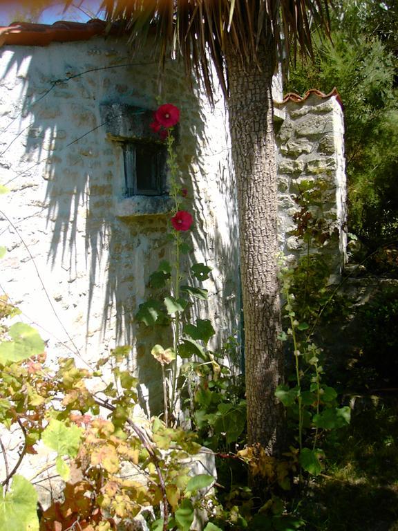 Les Jardins Saint Leonard Hotel Thairé Exterior foto